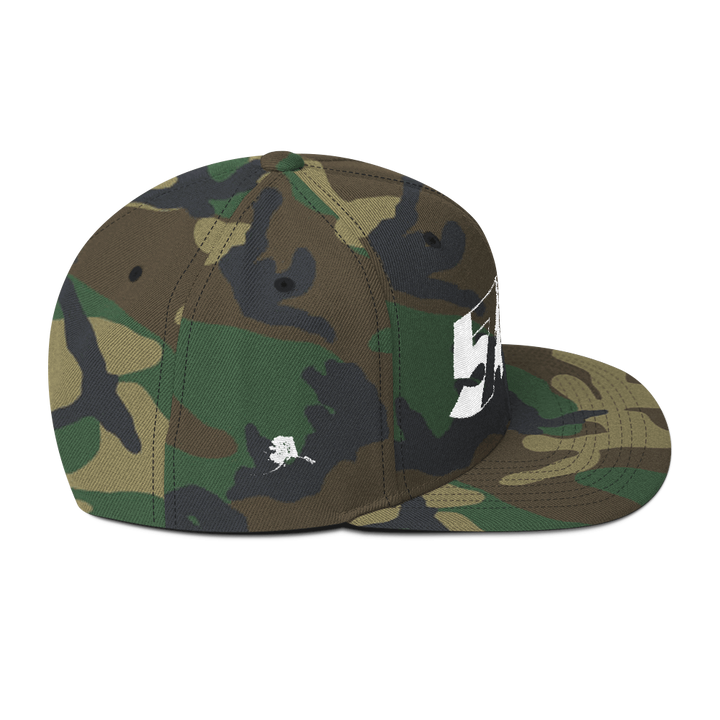 574 o·rig·i·nal Snapback V1